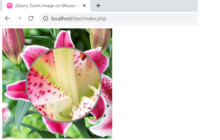 jQuery zoom lens image
